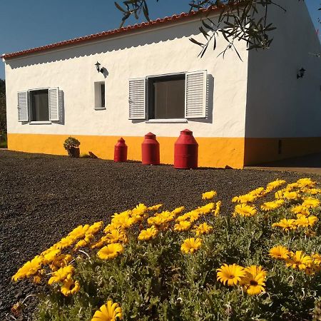 Monte Quinta Verde 费雷拉杜阿连特茹 外观 照片