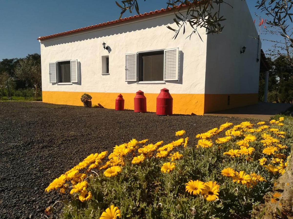 Monte Quinta Verde 费雷拉杜阿连特茹 外观 照片